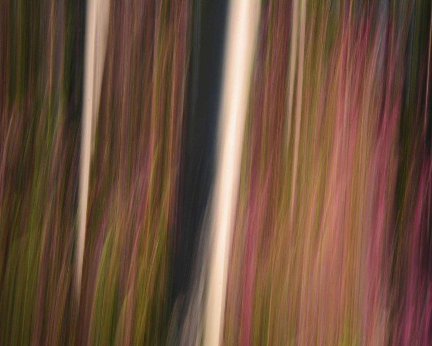 received_2221078677919460