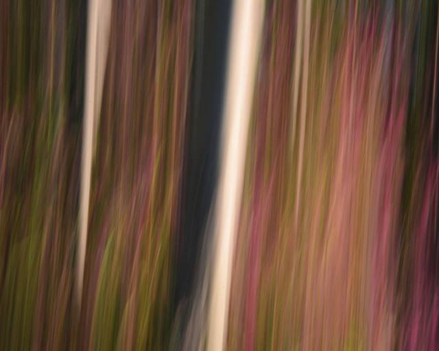 received_2221078677919460